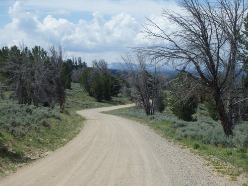 GDMBR: Coasting down to Lake of the Woods and Union Pass.